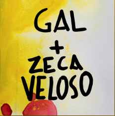 Gal Costa e Zeca Veloso - Nenhuma Dor - Master