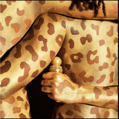 Amigos da Onça - Single - Master